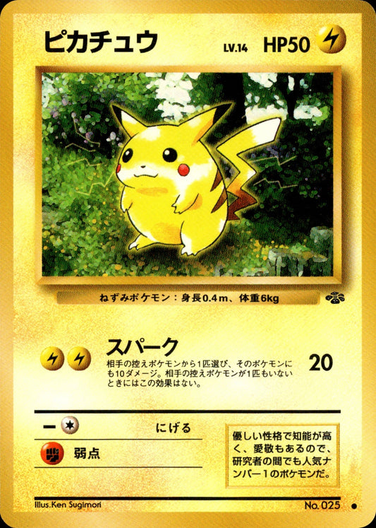 Pikachu ● 1st2 024/048