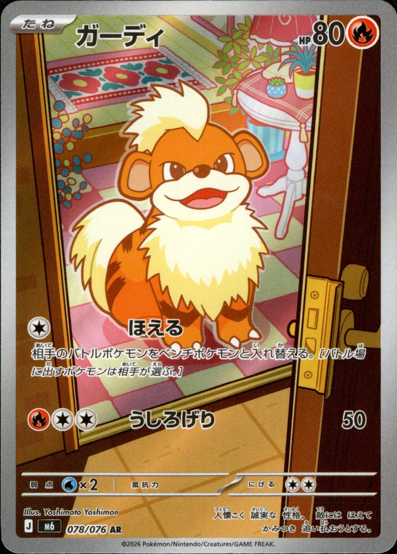 ガーディ AR M6 078/076